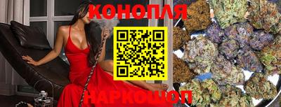 сатива Гатчина