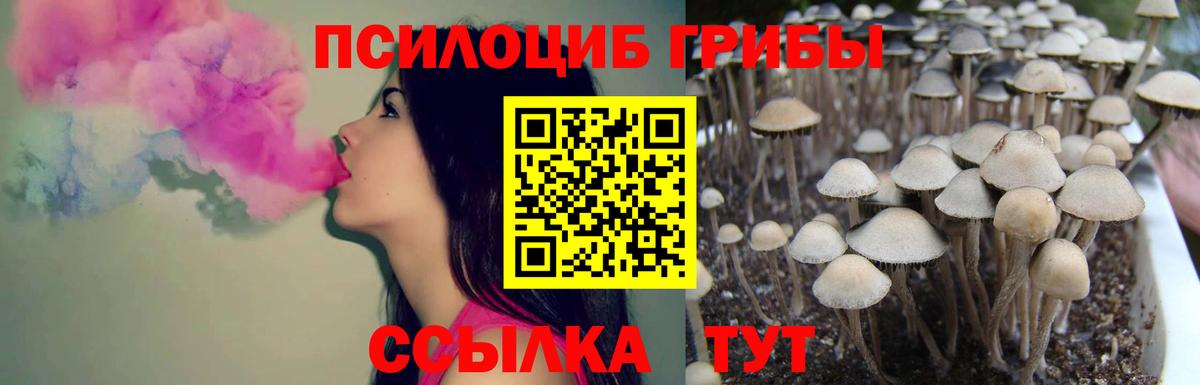 Псилоцибиновые грибы Magic Shrooms Малоярославец